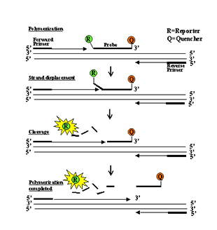 中国·3003新葡的京集团(股份)有限公司-官方网站